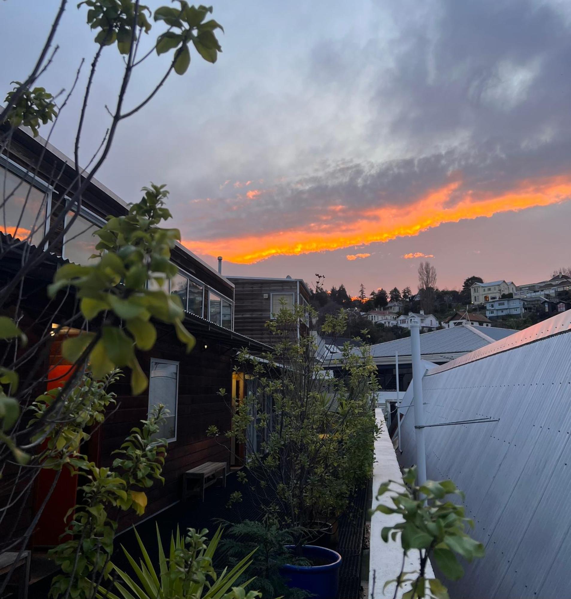 On Top Backpackers Dunedin Exteriér fotografie
